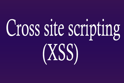 cross-site-scripting