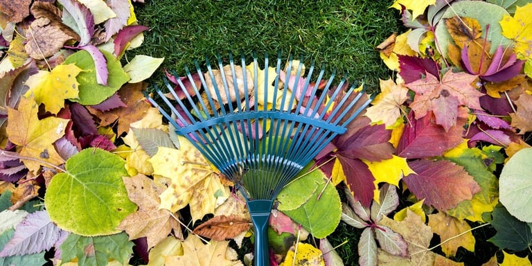Fall lawn cleanup – AppSec style