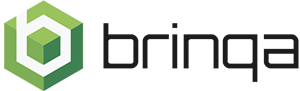 brinqa-logo